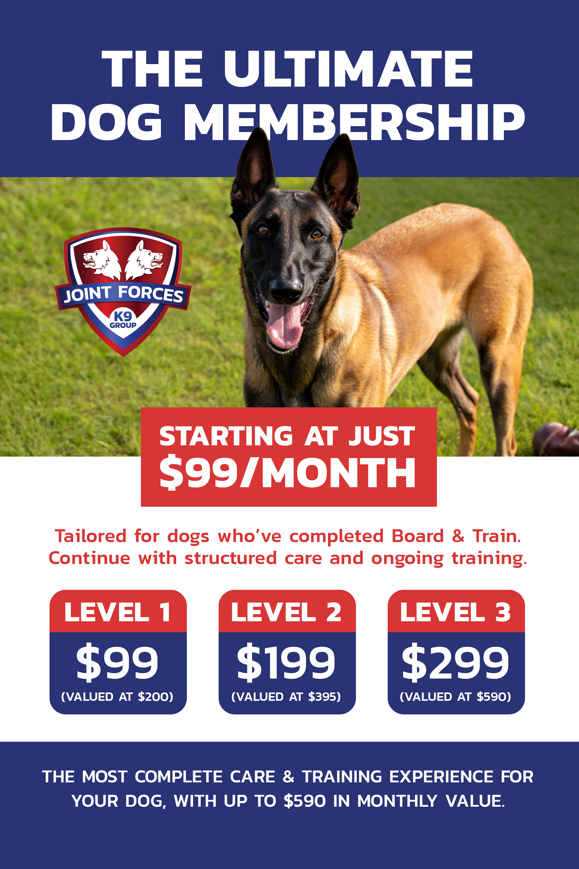 dogs training