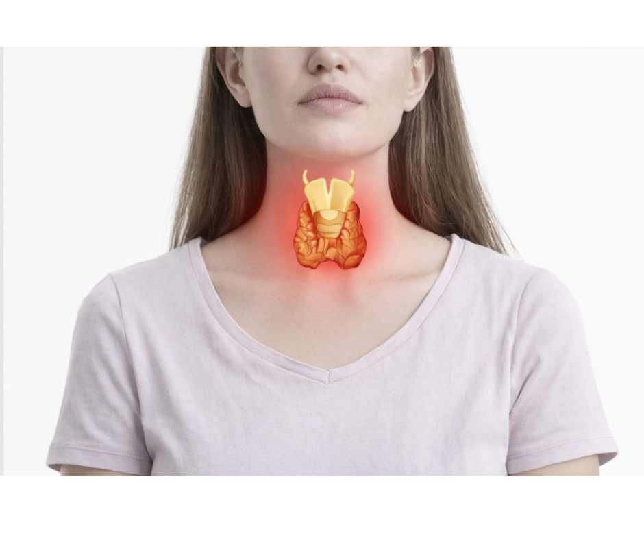Illustration showing the location of the thyroid gland and its role in hormone regulation and metabolic health