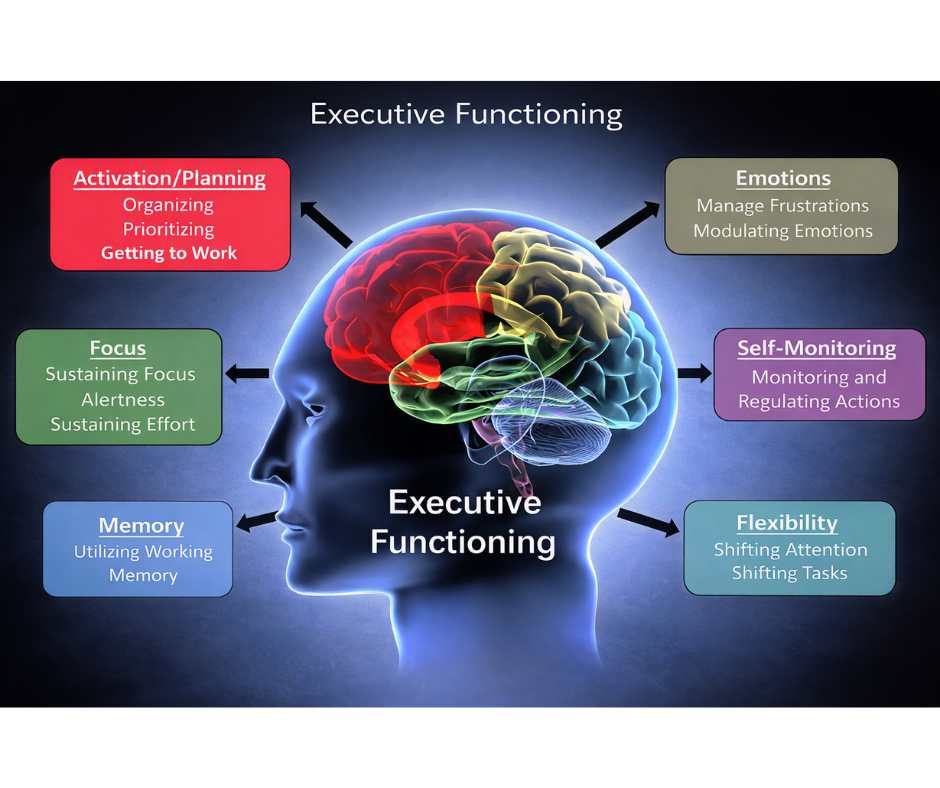 Executive functioning and brain regulation processes involved in ADHD, including focus, planning, memory, emotional regulation, and cognitive flexibility